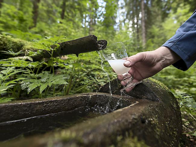Kräuter, ein Geheimrezept und Quellwasser ergeben eine milchigweisse Flüssigkeit: den Absinth. (Archivbild)