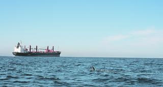 Ungleiche Dimensionen. Der Ozeanriese hat passiert. Der einsame Crawler Lothar Supersaxo kann ungehindert Kurs nehmen Richtung afrikanisches Festland. 