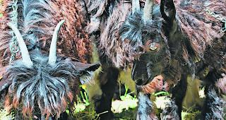 Zum Liebhaben. Die zotteligen Schwarzhalsziegen standen im Mittelpunkt des Ziegenfestes.  