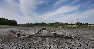 Die Erde k&ouml;nnte sich langfristig um etwa vier bis f&uuml;nf Grad Celsius erw&auml;rmen. (Symbolbild)