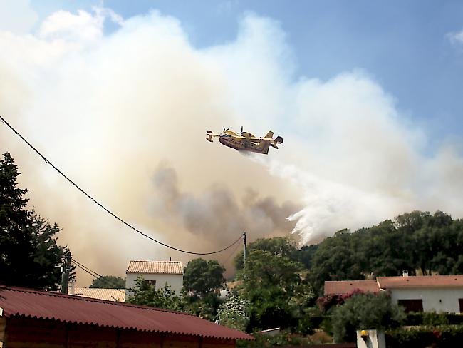 Löscharbeiten gegen Waldbrände auf Korsika (Archiv)