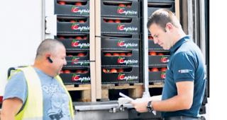 Tomaten. Patrick Eyholzer (rechts) kontrolliert die Fracht eines Lkw aus Holland.