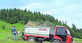 Ausfall. Die Landwirte rechnen mit einer bis zu 35 Prozent geringeren Heuernte.  