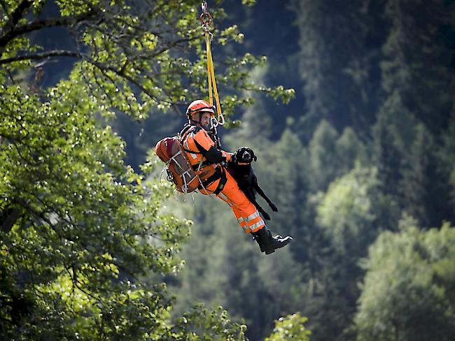 Ein Rettungsteam mit Suchhunden befindet sich im Bergsturzgebiet im Bergell um nach sechs bis acht Vermissten zu suchen.