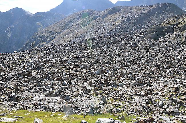 Steinig. Die fünf Zielgebiete im Simplongebiet befinden sich hauptsächlich in felsigem Gelände. Dies, um Landschaftsschäden so gut als möglich zu vermeiden.