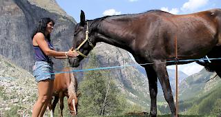 Vereint. Jenny Lengen-Wyssen und ihre Pferde in Randa.