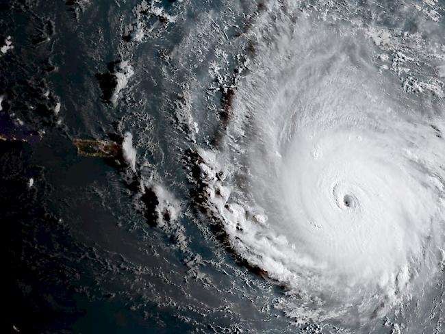 "Irma" riss die Dächer von einigen Häusern auf Barbuda weg.