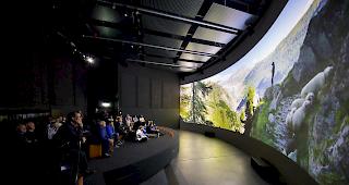 Der Konkurs des WNF in Naters ist abgewendet. 