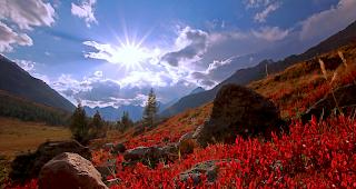 In den Bergen h&auml;lt der Herbst Einzug.