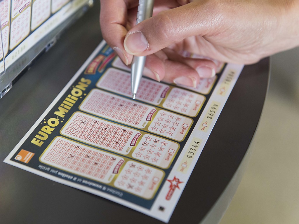 Roulette multiplayer free Roulette multiplayer free