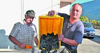 Eingespieltes Duo. Franz und Fabian Salzgeber (rechts) erlitten einen satten Verlust von zwei Drittel einer Normalernte. 