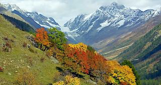 Farbenpracht. Die anstehende Woche bringt wundervolles Herbstwetter.