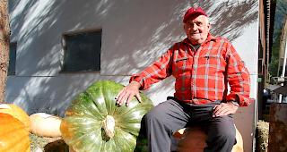 Pius Stocker brachte den schwersten K&uuml;rbis nach Ried-Brig. 