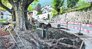 Beeindruckend. Das Wurzelwerk der alten Platanen im Rondell von Leuk-Stadt: Was dort Schaden nahm und weggenommen wurde  &ndash;  dieses Volumen wird in der Baumkrone weggeschnitten. Das Schneiden der Baumkrone ist f&uuml;r kommendes Fr&uuml;hjahr vorgesehen.  