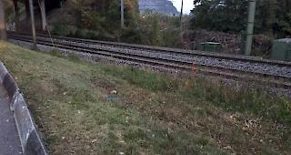 Ein Bahngeleise der SBB war anschliessend bis 21:40 Uhr gesperrt.
