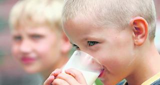 Palm&ouml;l frei. Die Schweizer Milchproduzenten haben Palm&ouml;l aus der Tiernahrung verbannt.