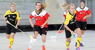 Die Damen der UHC Visper Lions konnten den Leader erfolgreich bezwingen.