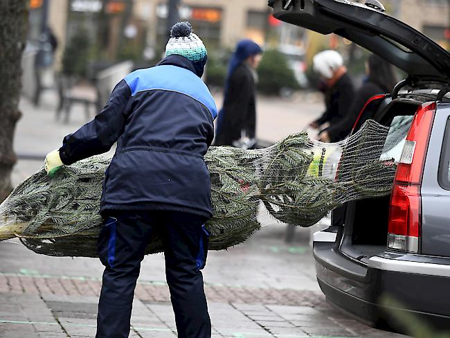 Tabakbauern erhalten Direktzahlungen, Landwirte mit Christbaum-Kulturen hingegen gemäss einem Entscheid des Bundesverwaltungsgerichts vom Sommer nicht. (Symbolbild)