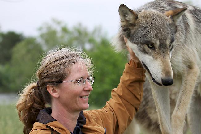 Christina Steiner hat bereits mehrere Erfahrungen mit Wölfen gesammelt.