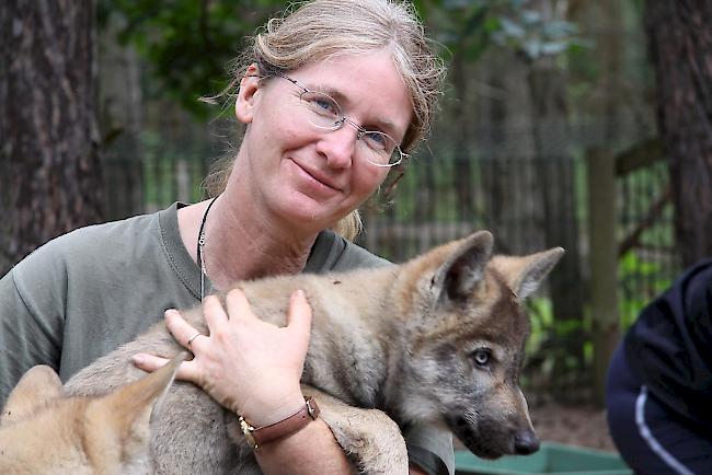 "Der Wolf gehört ins Wallis", sagt Christina Steiner.