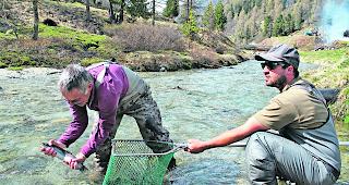 Notwendig. W&uuml;rde der Kanton nicht j&auml;hrlich &uuml;ber eine Million Jungforellen aus Fischzuchtanlagen in Walliser Gew&auml;sser in die Freiheit entlassen, w&auml;ren viele Fl&uuml;sse und B&auml;che fischleer.  