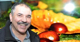 Stiftungsratspr&auml;sident Josef Heinzmann setzt sich f&uuml;r Fortbestand der Eyholzer Kastanienb&auml;ume ein.