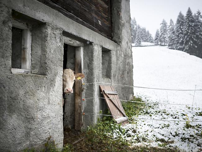 Eine Standesinitiative des Kantons Genf zur Einführung nationaler Mindestnormen in der Landwirtschaft scheiterte 2015 in beiden Kammern. (Symbolbild)