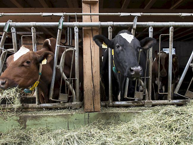 Landwirtschaftliche Betriebe sollen nach seinem Willen zeitlich begrenzte Steuerrückstellungen bilden können. (Symbolbild)