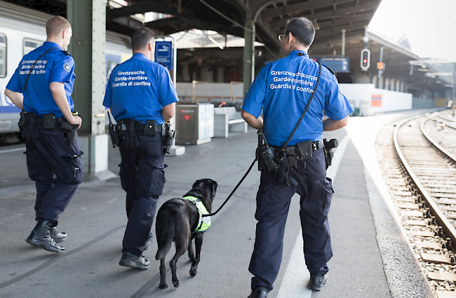 Die Mehrheit der Kommission ist der Meinung, dass das Grenzwachtkorps seine Aufgaben zufriedenstellend erfüllen kann. (Symbolfoto)