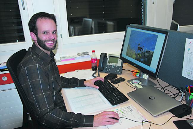 Wildtierbiologe Dr. Sven Wirthner (unten) erhofft sich vom Projekt aufschlussreiches Datenmaterial, um wirksame Massnahmen gegen den Wildverbiss in den Schutzwäldern aufgleisen zu können.