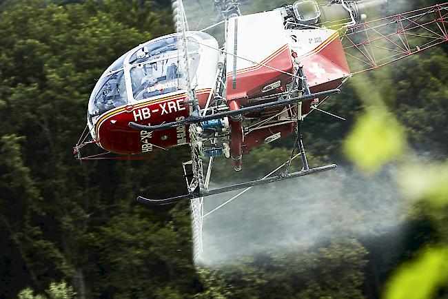 Das Versprühen von Pestiziden mittels Helikoptern im Weinbau ist umstritten.