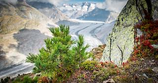 Das Gewinnerfoto von Chantal Stucky