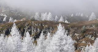 Das Siegerbild: M&auml;rchenhafte Stimmung auf dem Simplon, fotografiert am 27. Oktober 2017.