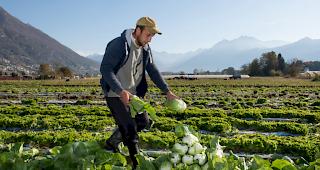 Keine M&ouml;glichkeit. Die Umsetzung des Gesetz w&auml;re in vielen Punkten nicht machbar. (Archivbild)
