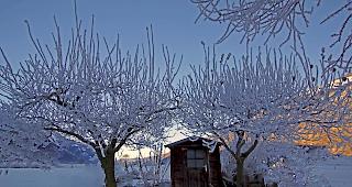 Die geringen Schneeverh&auml;ltnisse k&ouml;nnten auch in den Alpen, insbesondere im Rhonetal, an Boden gewinnen.