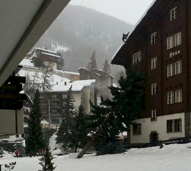 Beim Haus Pasadena in Zermatt knickte ein Baum um und touchierte das Gebäude. 