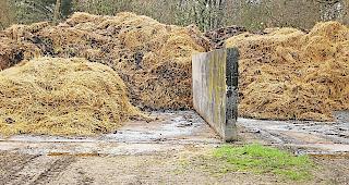 In Saas-Grund wird immer wieder Kuhmist falsch entsorgt.