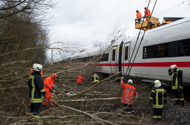 Bäume und Äste liegen bei Lamspringe (Niedersachsen) auf der ICE-Trasse zwischen Hannover - Göttingen.