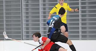 Am Boden? Der UHC Visper Lions k&auml;mpft nun gegen den drohenden Abstieg.