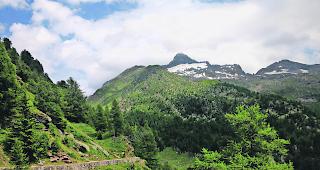 Weitl&auml;ufiges Gebiet. August 2017: Trotz mehrt&auml;giger intensiver Suche in der Region rund um das Bortelhorn musste die Suchaktion nach dem vermissten polnischen Pfarrer Krzysztof Grzywocz eingestellt werden. Grzywocz war w&auml;hrend mehrerer Jahre als Aushilfspfarrer in der Gemeinde Bettmeralp t&auml;tig. 