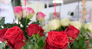 Rote Rosen sind der Renner und werden in der Schweiz am h&auml;ufigsten verkauft.