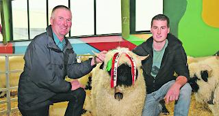 Stolze Z&uuml;chter. Benjamin und Damian Sies mit ihrer &laquo;Miss Visp 2018&raquo;.  