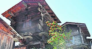 St&auml;lle und Scheunen d&uuml;rfen nun doch nicht einfacher in Wohnungen umgebaut werden.