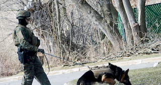 Die Polizei sucht die Nachbarschaft nach dem Sch&uuml;tzen ab.