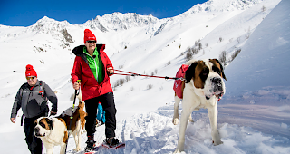 Idyllischer Ausflug. Claudio Rossetti (r.), Direktor der Fondation Barry, stieg am Freitag mit einer Gruppe von Bernhardinern zum Hospiz auf dem Grossen St. Bernhard auf.
