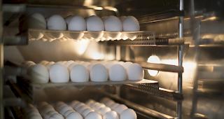 Der Eierverbrauch der Schweizer Bev&ouml;lkerung ist zum Vorjahr gestiegen.