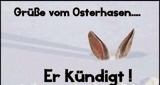 Gr&uuml;sse vom Osterhasen...