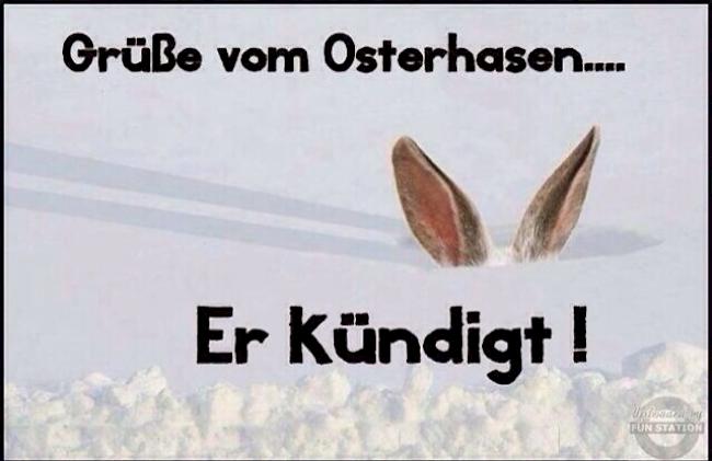 Grüsse vom Osterhasen...