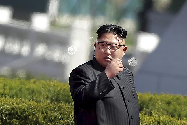 Premiere in Pjöngjang: Nordkoreas Machthaber Kim Jong Un hat ein Konzert südkoreanischer Künstler in Pjöngjang besucht - als erster nordkoreanischer Machthaber überhaupt. 