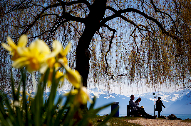 Frühling. Wie hier am Genfersee genossen viele Menschen am Wochenende prächtiges Frühlingswetter mit warmen Temperaturen.